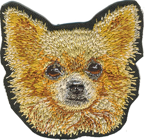 Chihuahua