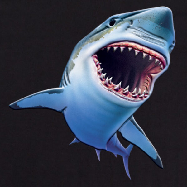 Sharky Svart T-shirt - Bild 2