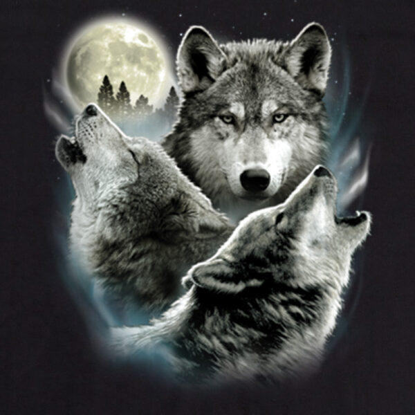 Three Wolves Svart T-shirt - Bild 2