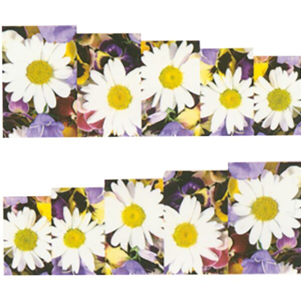 Nagel Stickers Nageldekoration